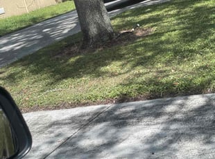 Kendale W.'s Other service result