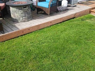 Mitch K.'s lawn care service result