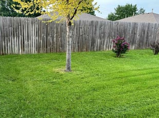 Cheran R.'s turf care service result