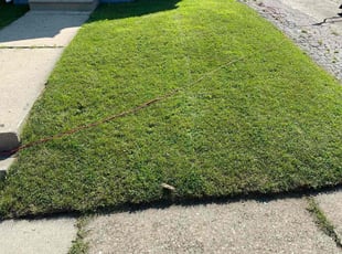Sheila E.'s turf care service result