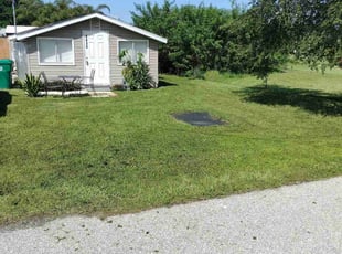 Marie R.'s lawn care service result