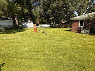 Sue B.'s lawn care service result