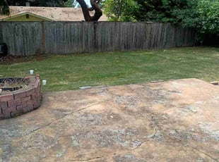 Janice G.'s turf care service result