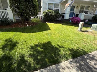 Vernessa C.'s lawn service service result