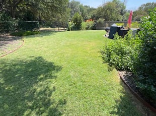 John L.'s turf maintenance service result
