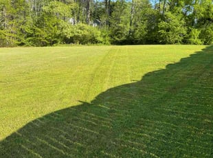 Wanda J.'s lawn service service result