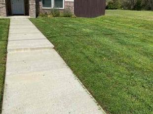 Osman M.'s lawn care service result