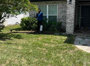 Togay B.'s Bush Trimming service result