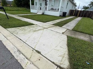 Elena V.'s grass cutting service result