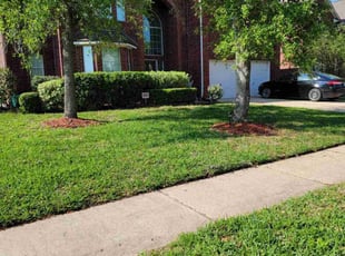 Doris I.'s grass cutting service result