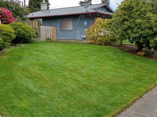 Janelle D.'s turf care service result