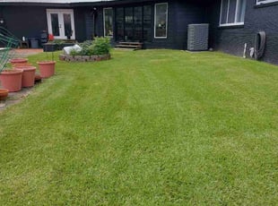 Ricky G.'s lawn service service result