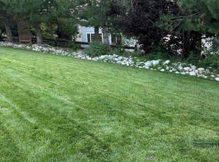 Harla F.'s grass cutting service result