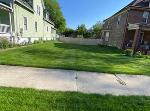 Shaula A.'s turf care service result