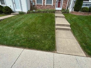 Angela A.'s turf care service result