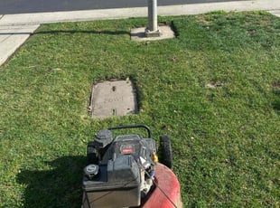 Andre D.'s turf maintenance service result