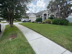 Zachary G.'s grass cutting service result