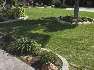 Livia L.'s lawn care service result