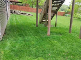 Brandon S.'s grass maintenance service result