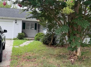 Renee S.'s Bush Trimming service result