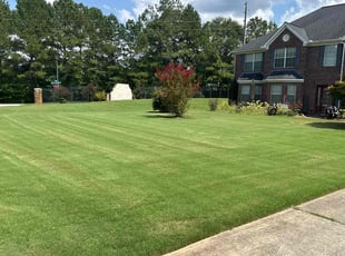 Valerie H.'s lawn service service result