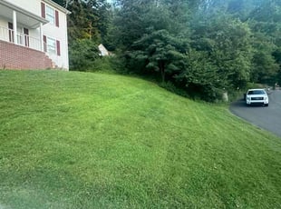 Scott S.'s lawn care service result