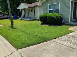 Jesse H.'s turf care service result
