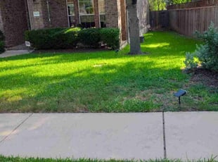 Shirley F.'s lawn care services service result