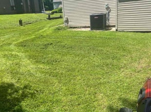 Adam C.'s lawn maintenance service result