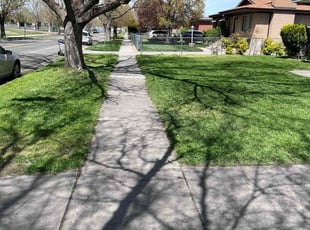 Joanne M.'s turf maintenance service result