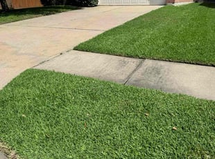 Kyle G.'s lawn service service result