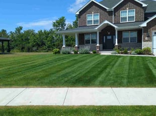 James B.'s turf care service result