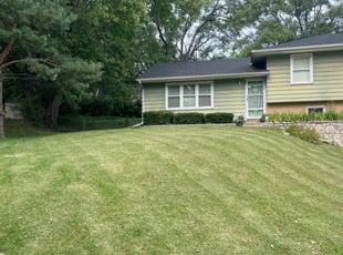 Brandon W.'s lawn care services service result