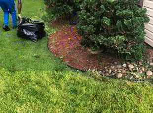 Chantel C.'s Bush Trimming service result