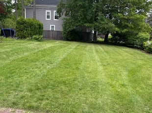 Michael M.'s turf care service result
