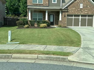 Bill M.'s grass maintenance service result