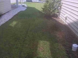 Rodrigo M.'s turf care service result