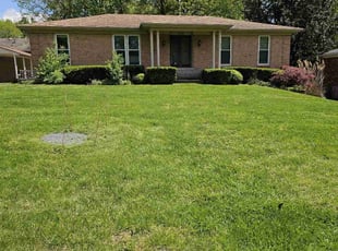 Natasha T.'s grass maintenance service result