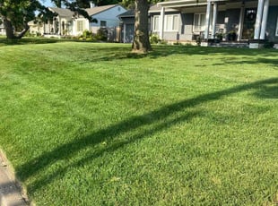 Patty T.'s lawn maintenance service result