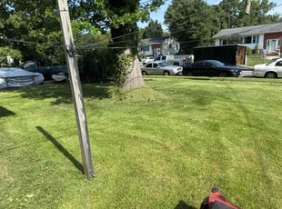 Trinette P.'s turf care service result