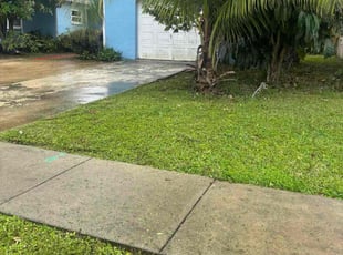 Bill S.'s lawn care service result