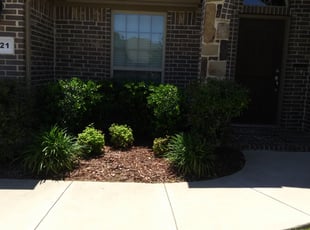 Sue F.'s Bush Trimming service result