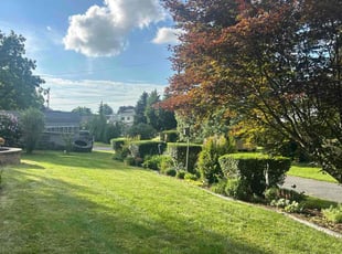 Denise O.'s Bush Trimming service result