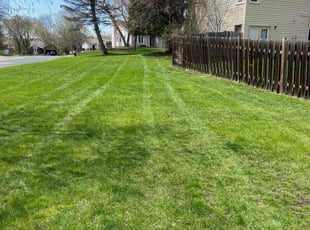 Holly B.'s Leaf Removal service result