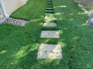 Tonia D.'s grass maintenance service result