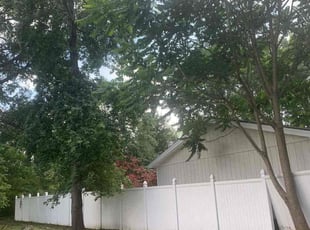 Wendy H.'s Cleanups service result