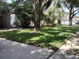 Sherri H.'s lawn service service result