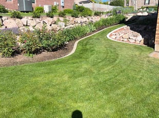 Laura L.'s lawn care service result