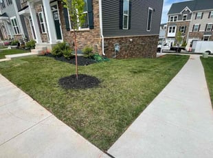 Josh P.'s turf maintenance service result