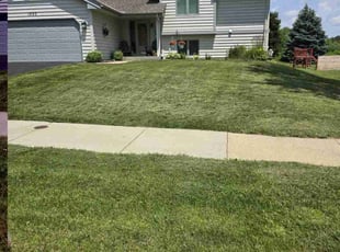 Barbara T.'s grass cutting service result